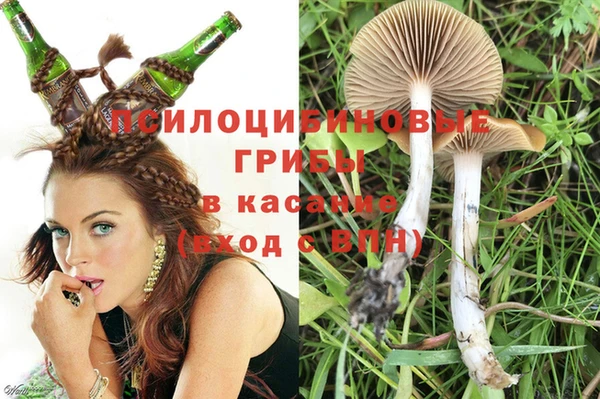 круглые Алексеевка