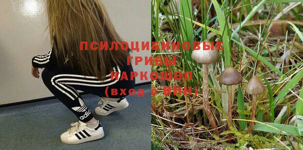 круглые Алексеевка