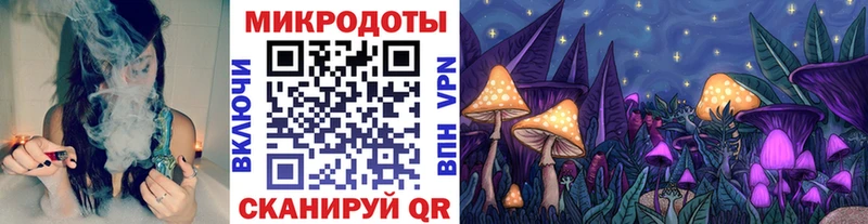 даркнет сайт  Юрьев-Польский  Галлюциногенные грибы GOLDEN TEACHER 